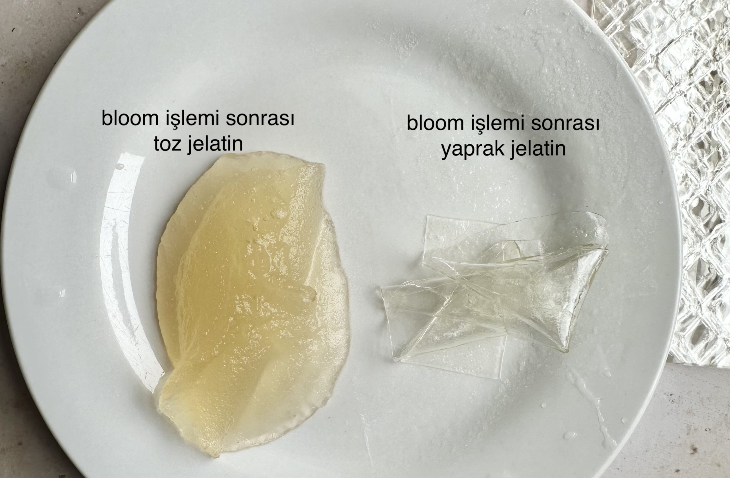 jelatin bloom edildikten sonra